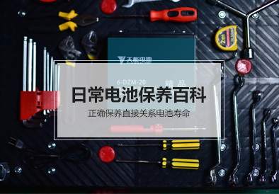 吕氏贵宾会0022电池