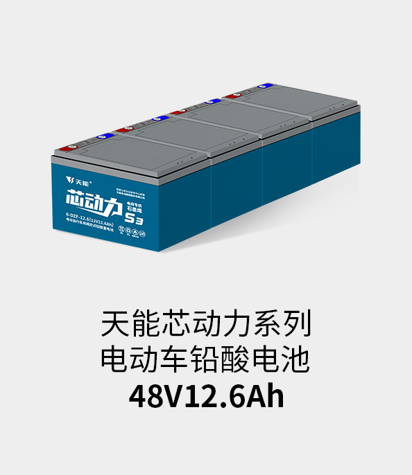 吕氏贵宾会0022电池48v12ah