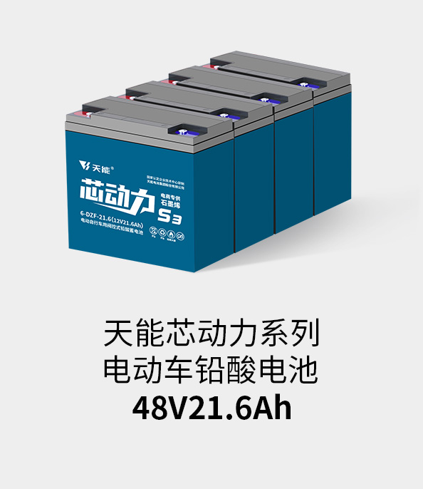 吕氏贵宾会0022电池48v20ah