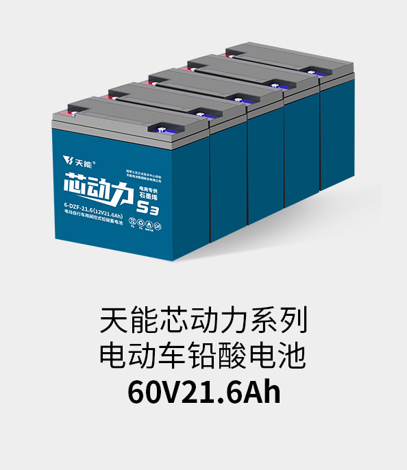 吕氏贵宾会0022电池60v20ah