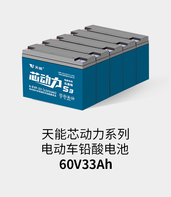 吕氏贵宾会0022电池60v33ah