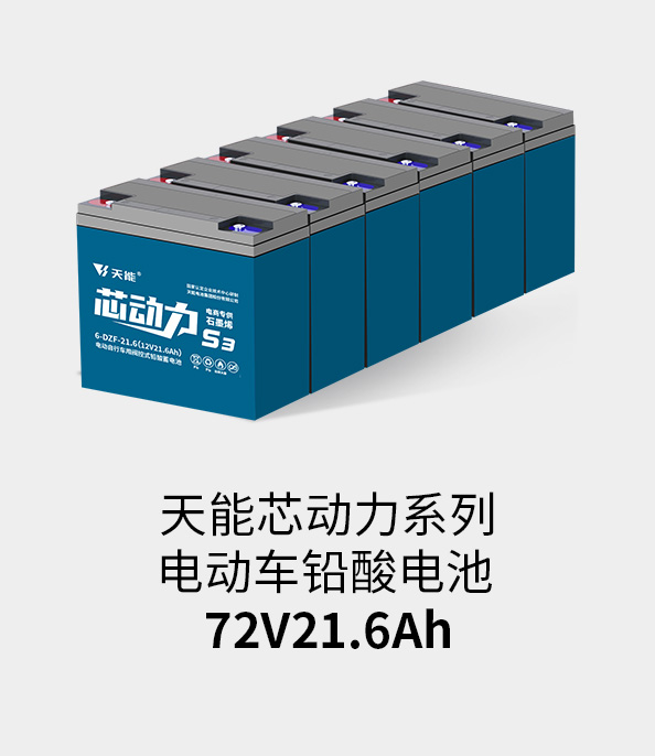 吕氏贵宾会0022电池72v20ah