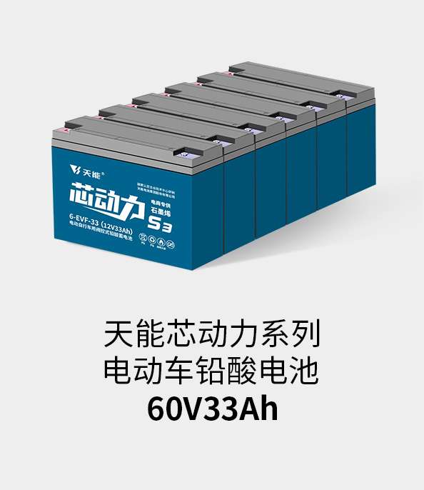 吕氏贵宾会0022电池72v33ah