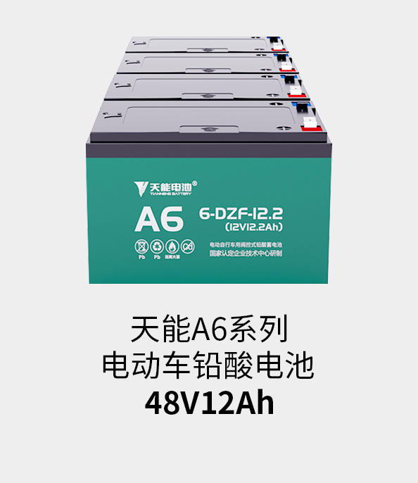 吕氏贵宾会0022电池48v12ah