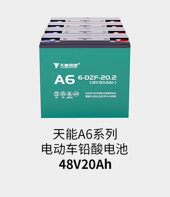 吕氏贵宾会0022电池48v20ah