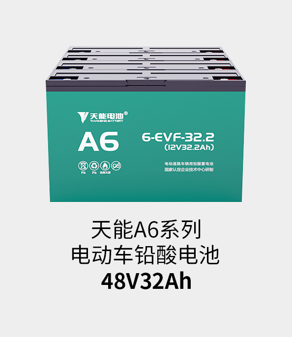 吕氏贵宾会0022电池48v32ah