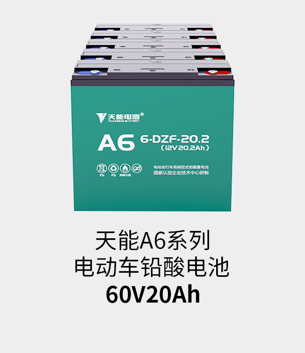 吕氏贵宾会0022电池60v20ah