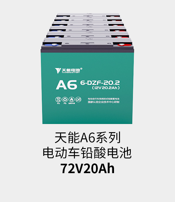 吕氏贵宾会0022电池72v20ah