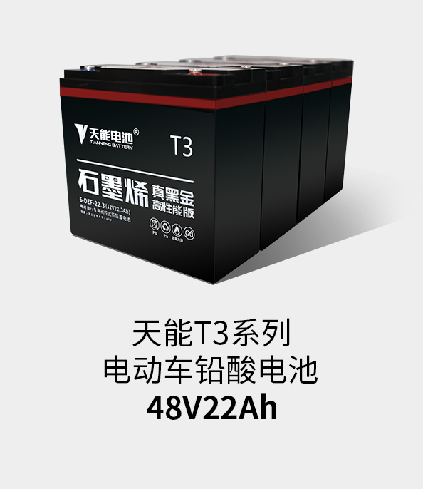 吕氏贵宾会0022T3系列48v22ah