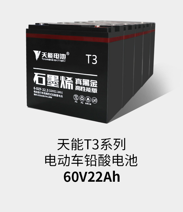 吕氏贵宾会0022T3系列60v22ah