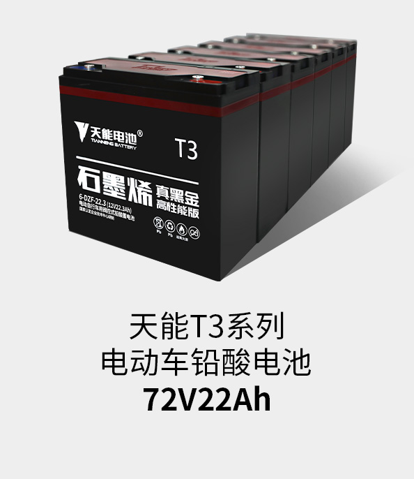 吕氏贵宾会0022T3系列72v22ah