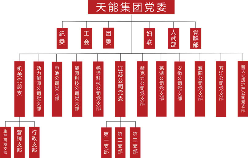 吕氏贵宾会0022建团党委组织架构